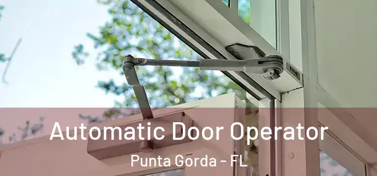Automatic Door Operator Punta Gorda - FL