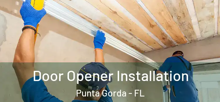 Door Opener Installation Punta Gorda - FL