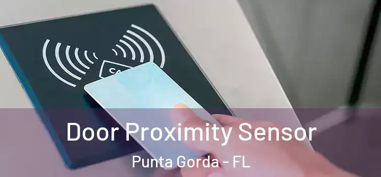 Door Proximity Sensor Punta Gorda - FL