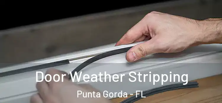 Door Weather Stripping Punta Gorda - FL