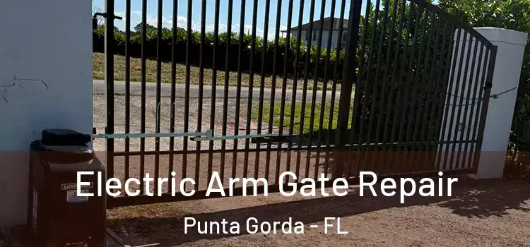 Electric Arm Gate Repair Punta Gorda - FL