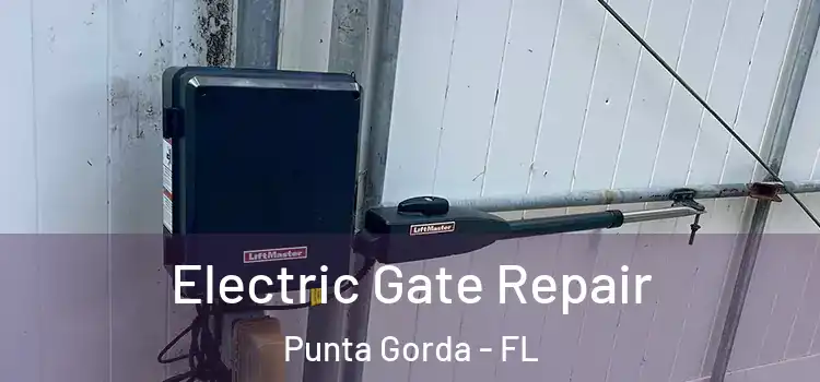 Electric Gate Repair Punta Gorda - FL