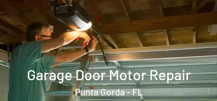  Garage Door Motor Repair Punta Gorda - FL