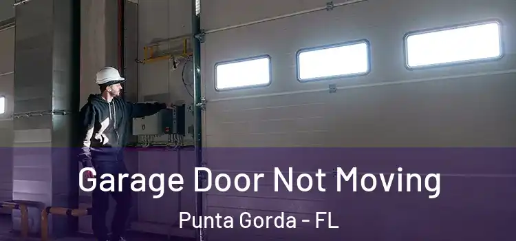  Garage Door Not Moving Punta Gorda - FL