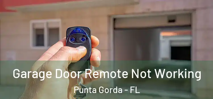  Garage Door Remote Not Working Punta Gorda - FL