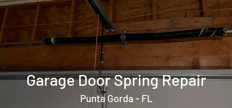  Garage Door Spring Repair Punta Gorda - FL