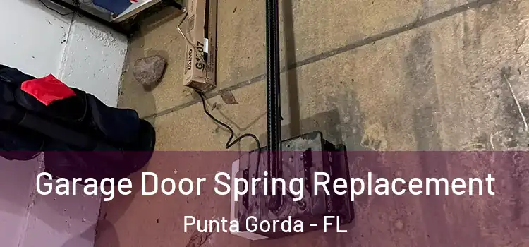  Garage Door Spring Replacement Punta Gorda - FL