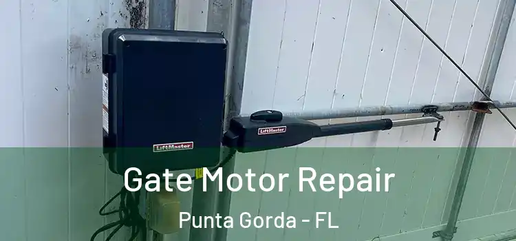 Gate Motor Repair Punta Gorda - FL