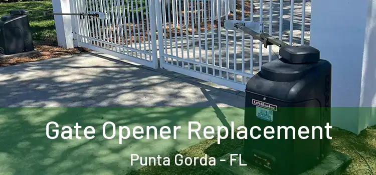  Gate Opener Replacement Punta Gorda - FL