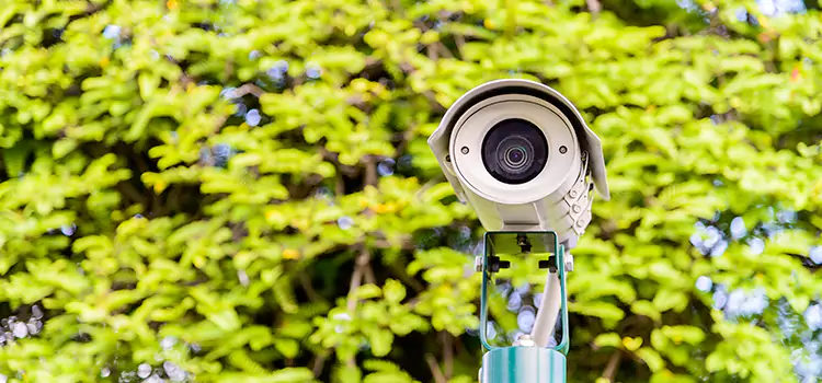 Advanced Surveillance Solutions for Every Need in Punta Gorda