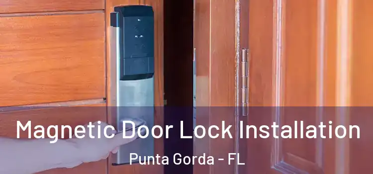  Magnetic Door Lock Installation Punta Gorda - FL