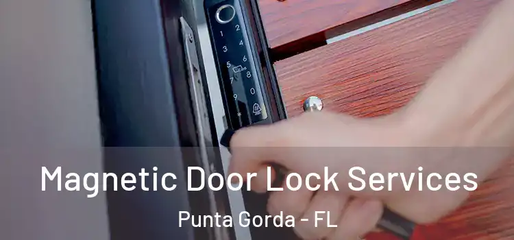 Magnetic Door Lock Services Punta Gorda - FL