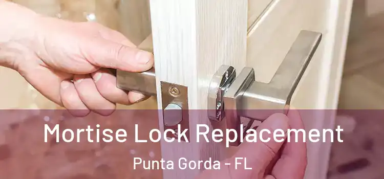  Mortise Lock Replacement Punta Gorda - FL