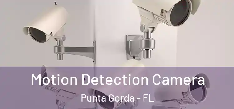  Motion Detection Camera Punta Gorda - FL