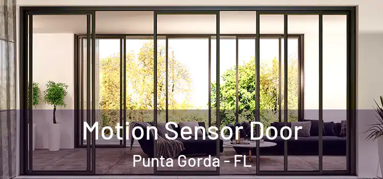 Motion Sensor Door Punta Gorda - FL